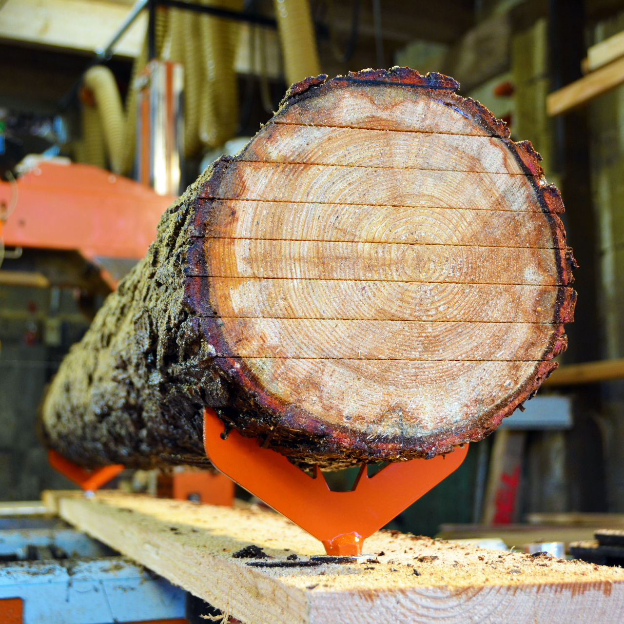 Bretter mit der Schwachholzleiste von Holz-Hesener schneiden. Saegewerkerweiterung für Wood-Mizer und Frontier